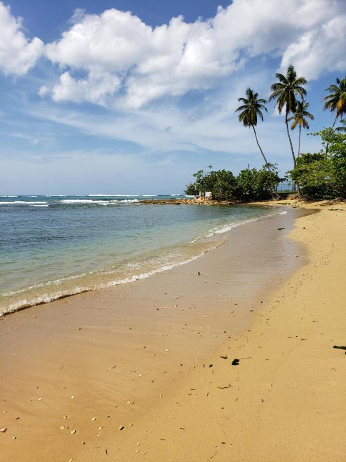 Beach Villas Dorado Puerto Rico Exteriér fotografie